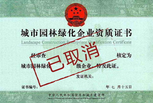 資質取消潮來襲 建筑企業(yè)生存挑戰(zhàn)與招投標代理服務轉型之路